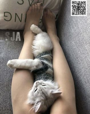精品国产区_1080P高清迅雷在线观看